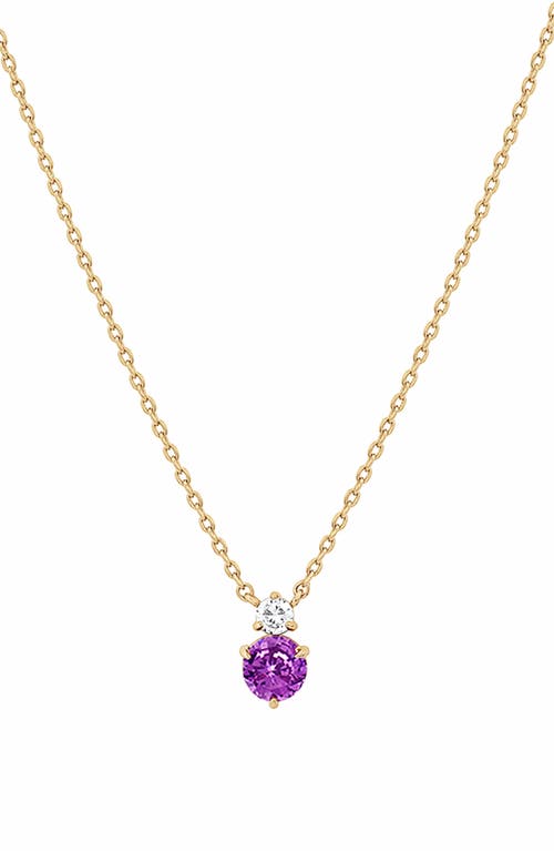 Bearfruit Jewelry 14k Gold Plated Deux Birthstone Necklace Personal Holiday Gift Idea in Amethyst/february  product