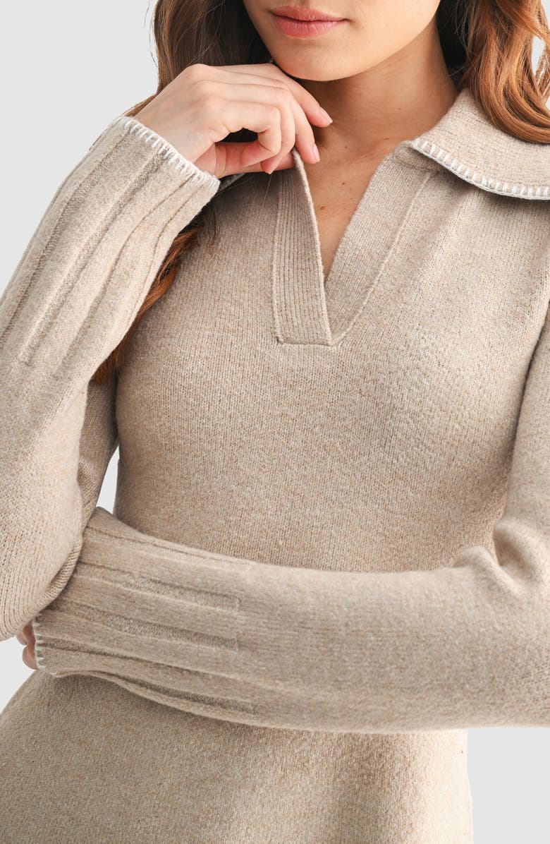 Mila Mae Whip Stitch Polo Sweater Dress, Alternate, color, Taupe