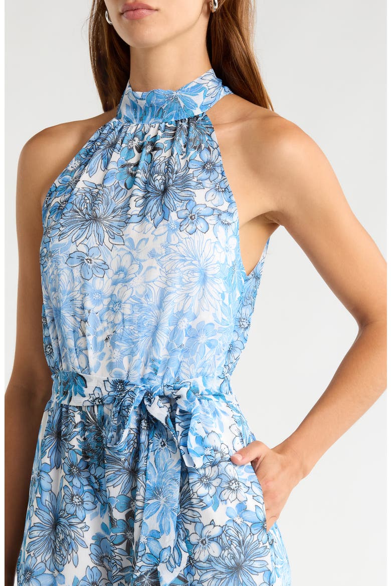 Tierra Floral Print Halter Jumpsuit, Alternate, color, BLUES