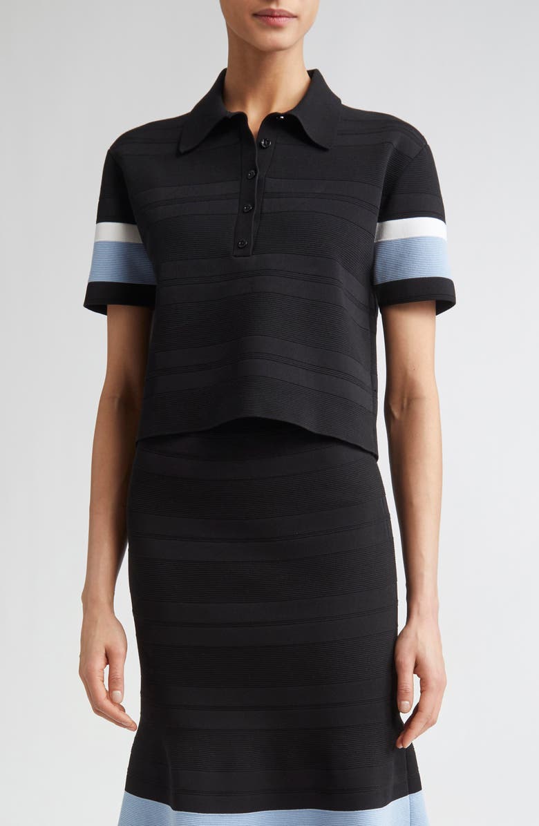 Carolina Herrera Stripe Knit Polo, Main, color, Black Multi