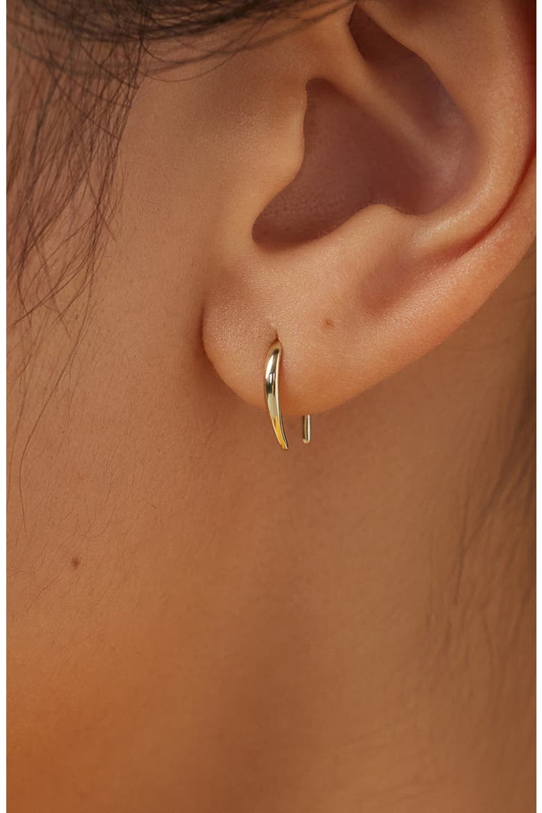 Hook Earrings - Gold Hook Earrings, Alternate, color, Gold