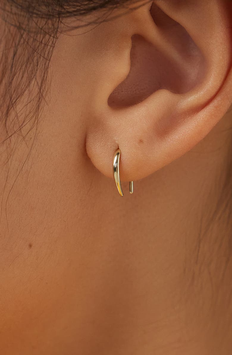 Ana Luisa Hook Earrings - Gold Hook Earrings, Alternate, color, Gold