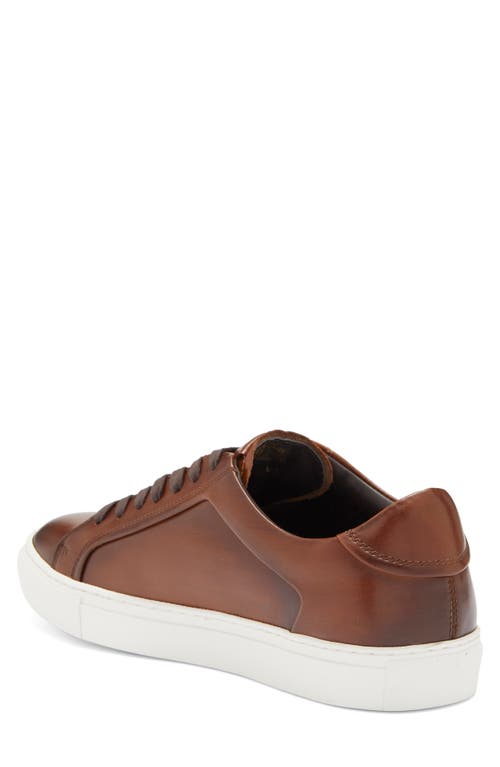 Vittorio Russo Newton Sneaker In Tan