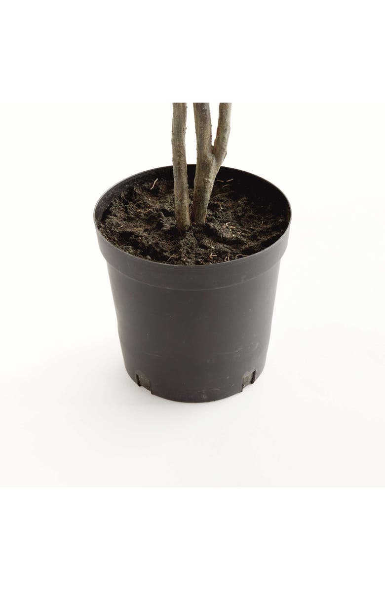 Napa Home & Garden Ficus Drop-In Artificial Tree 51", Alternate, color, Green