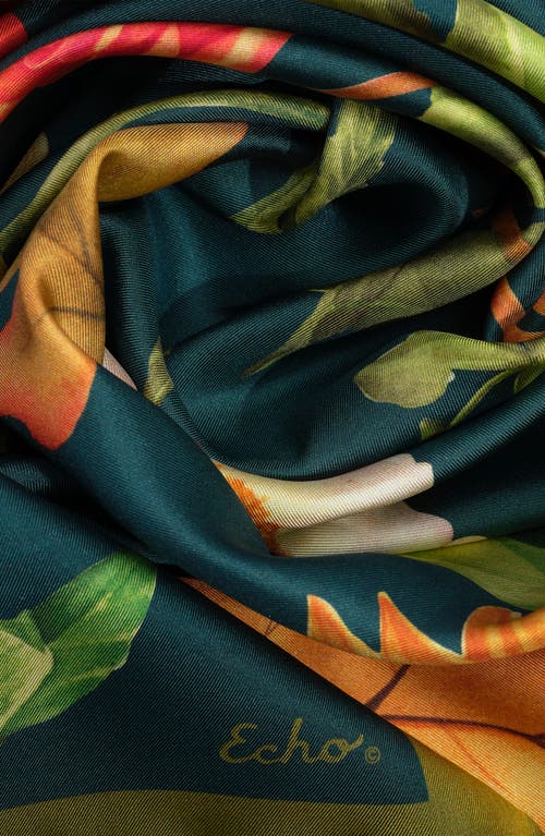 Echo The Botanists Collection In Brown