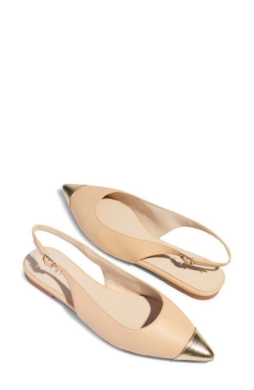 Yosi Samra Vera Pointed Cap Toe Slingback Flat In Beige