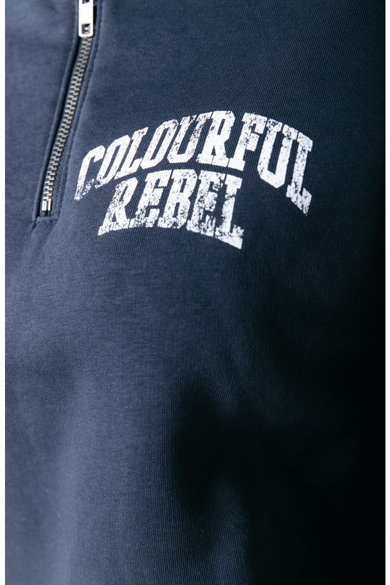 Varsity Logo Relaxed Zip Sweat, Alternate, color, Navy