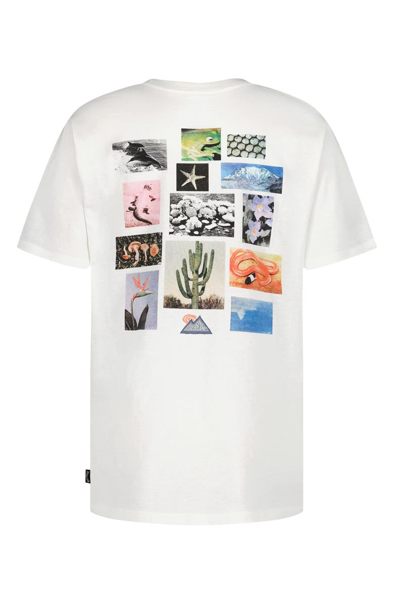 Billabong Kids' Moments Graphic T-Shirt, Alternate, color, White