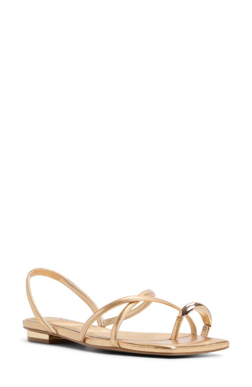 Shop Aldo Synthesa Toe Loop Sandal