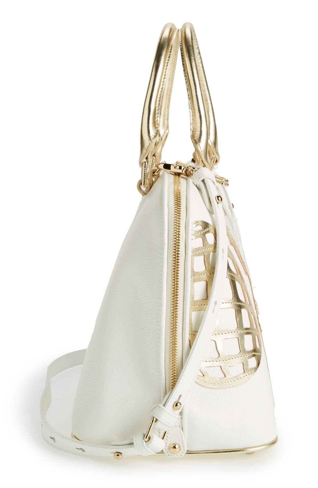 Brahmin , Alternate, color, 