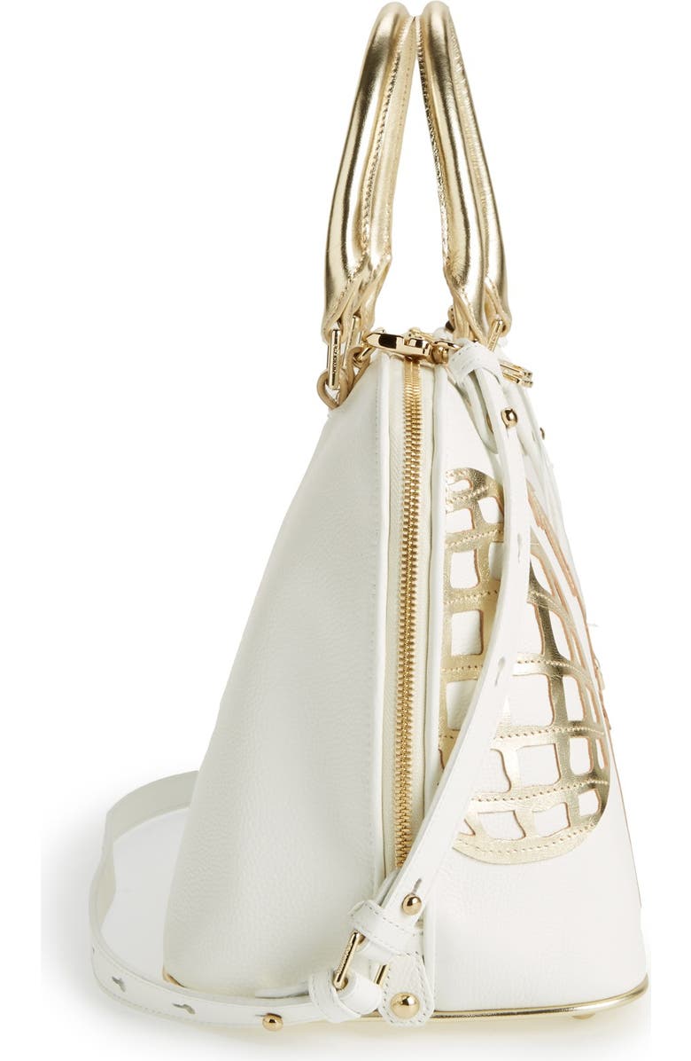 Brahmin , Alternate, color,