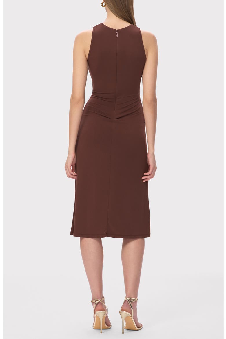 The Brooke Sleeveless Shift Dress, Alternate, color, COFFEE