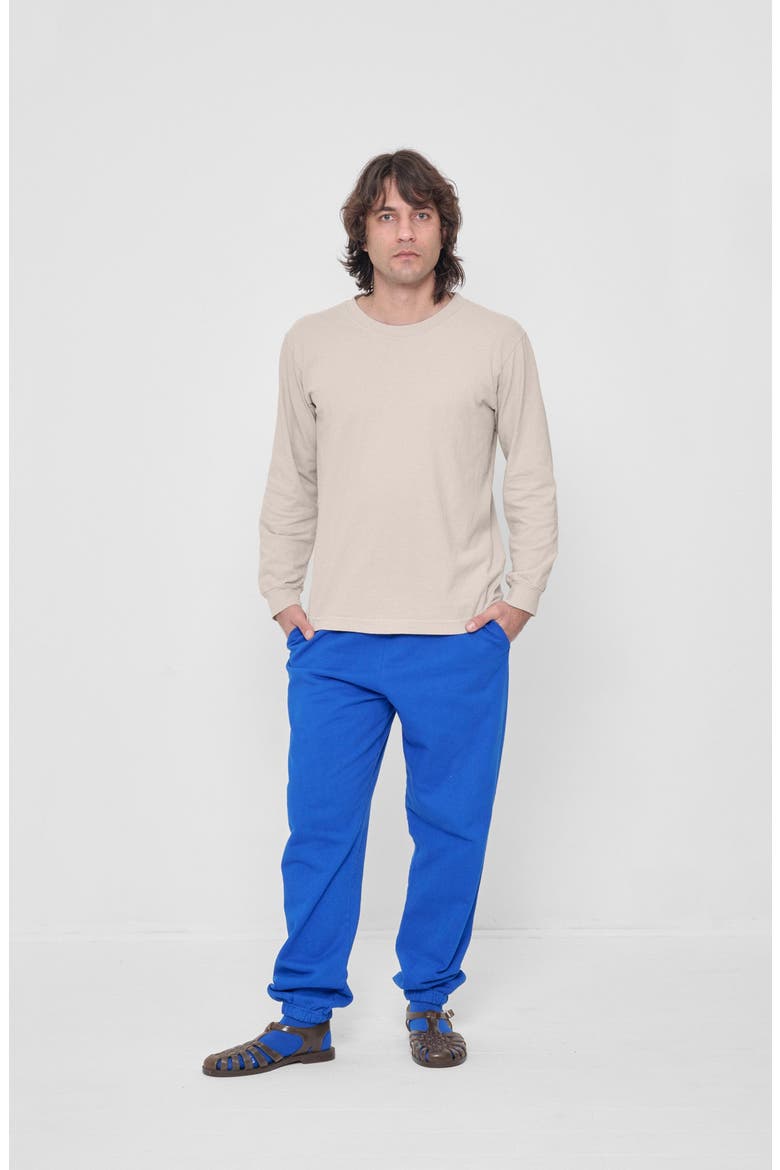 Long Sleeve Trash Tee, Alternate, color, Oat