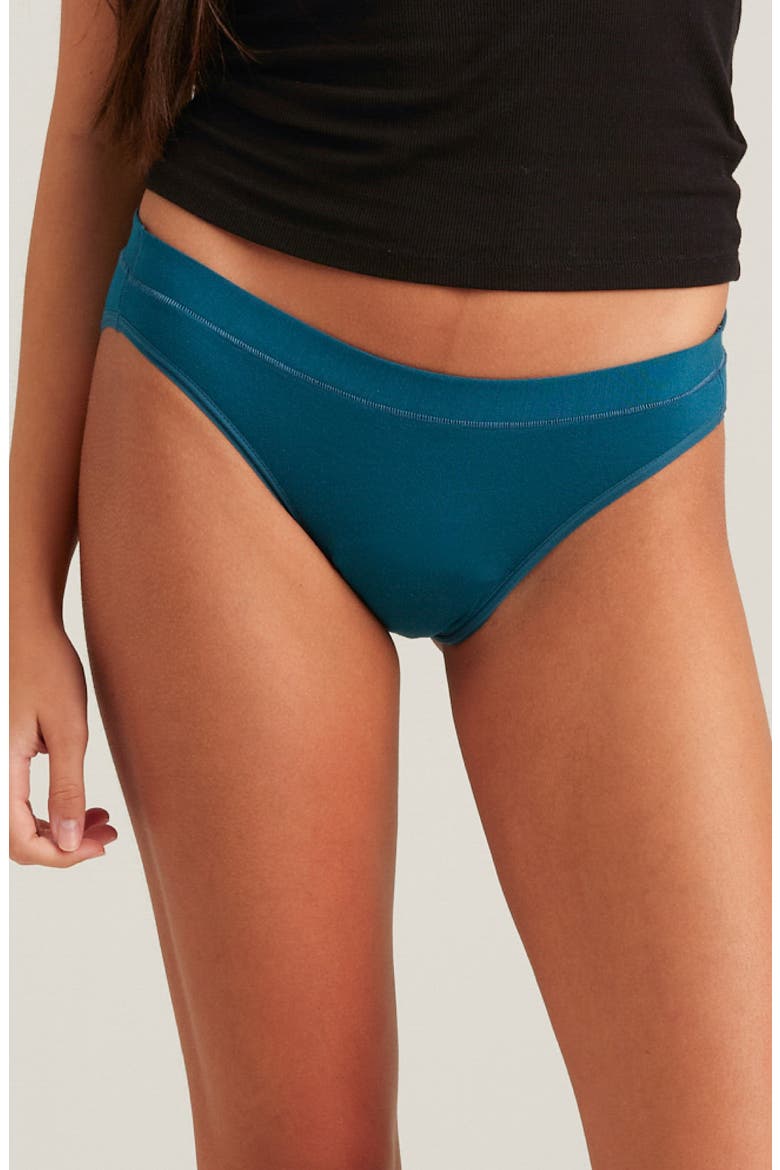 Period & Leakproof Regular Absorbency Comfort Bikini, Main, color, BLUE