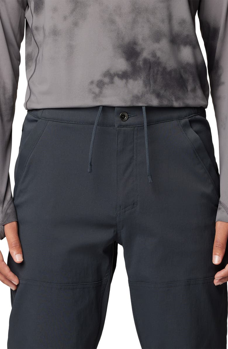 Mountain Hardwear Hardwear All Purpose Active Pants, Alternate, color,