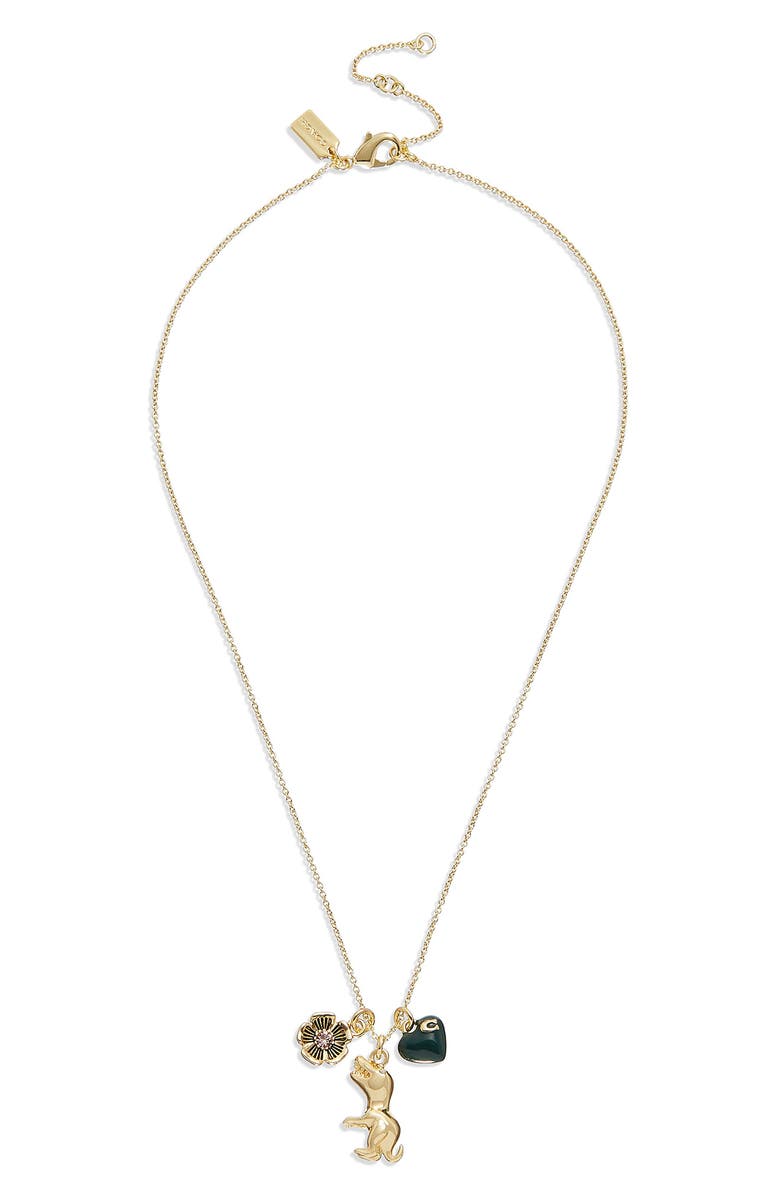 COACH Rexy Charm Necklace, Main, color,