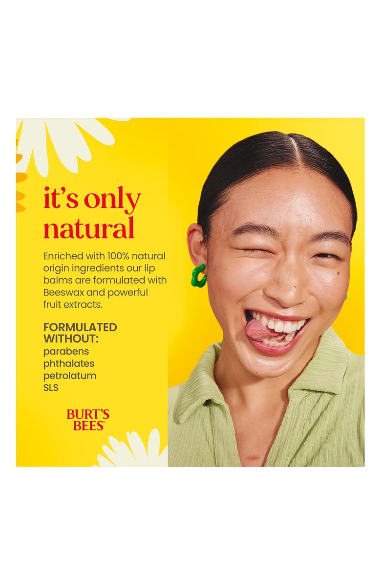 Burt's Bees Beeswax Bounty Moisturizing Lip Balm Gift Set, Alternate, color,