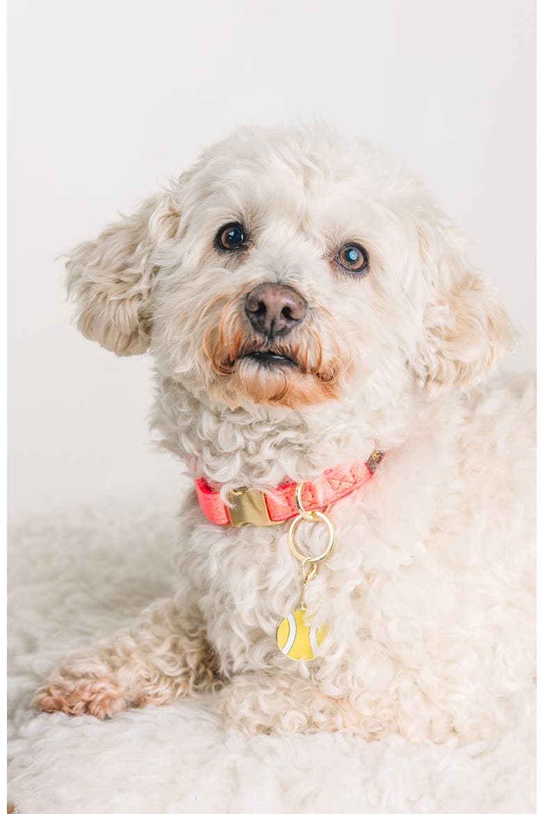 Tennis Ball Pet Collar Charm, Alternate, color, Tennis Ball