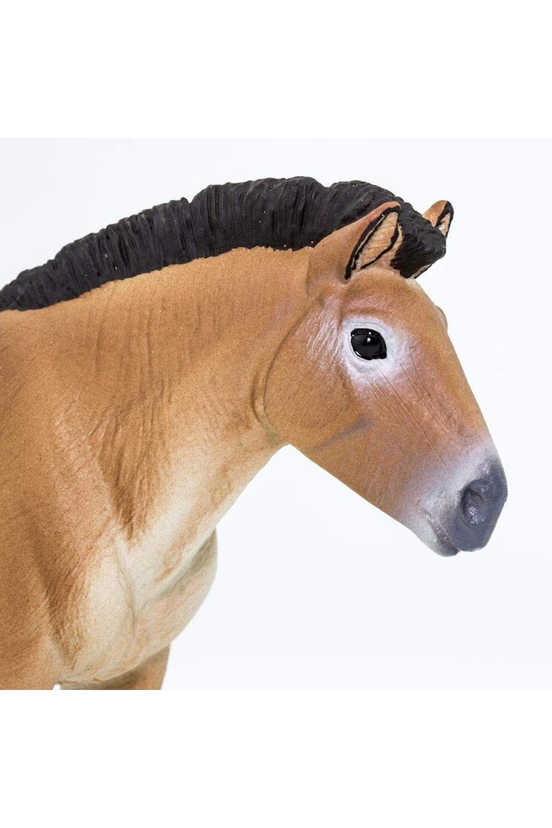 Przewalskis Horse Kids Toy Figure, Alternate, color, None