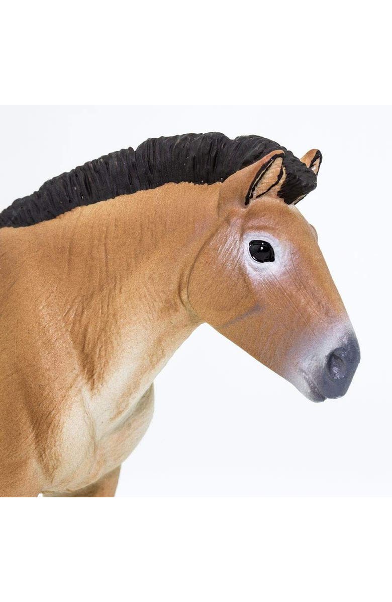 Safari Ltd. Przewalskis Horse Kids Toy Figure, Alternate, color, NO COLOR