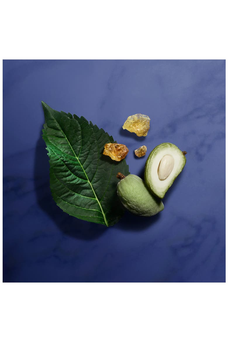 Privē Indigo Tanzanite Eau de Parfum, Alternate, color, NO COLOR