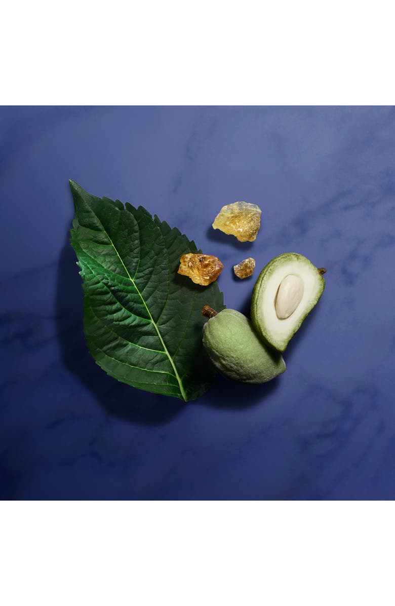 ARMANI beauty Armani Privē Indigo Tanzanite Eau de Parfum, Alternate, color,