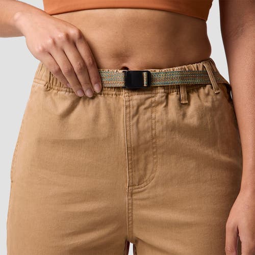 Backcountry Venture Daily Pant In Brown