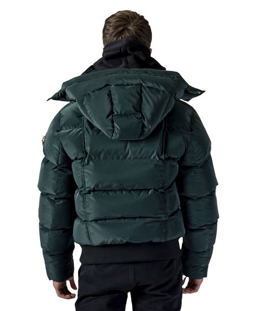 Woodpecker Woody Bomber Quilted Coat In Green