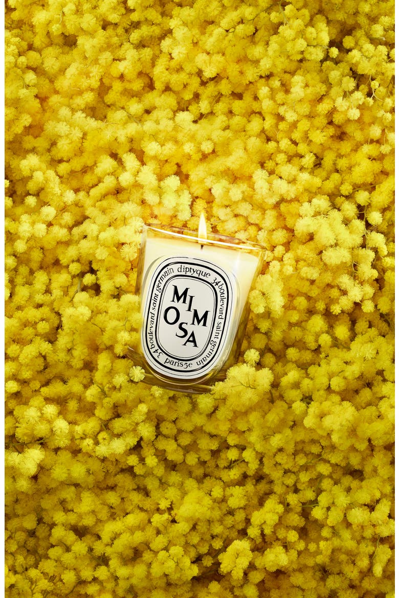 Mimosa Classic Candle, Alternate, color, NO COLOR