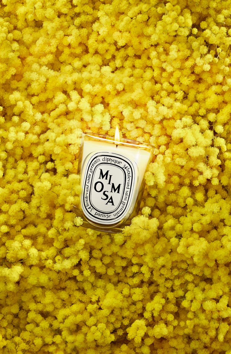 Diptyque Mimosa Classic Candle, Alternate, color, 