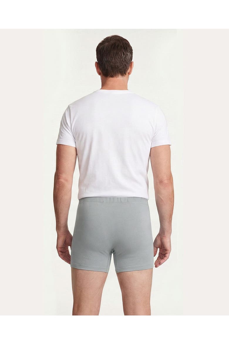Mens Soft 100% Organic Cotton Boxer Briefs, Alternate, color, Road