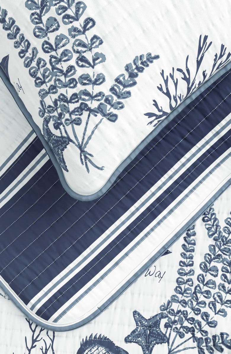 Woven & Weft Coastal Print Cotton Quilt & Sham Set, Alternate, color, Seacoast Memories