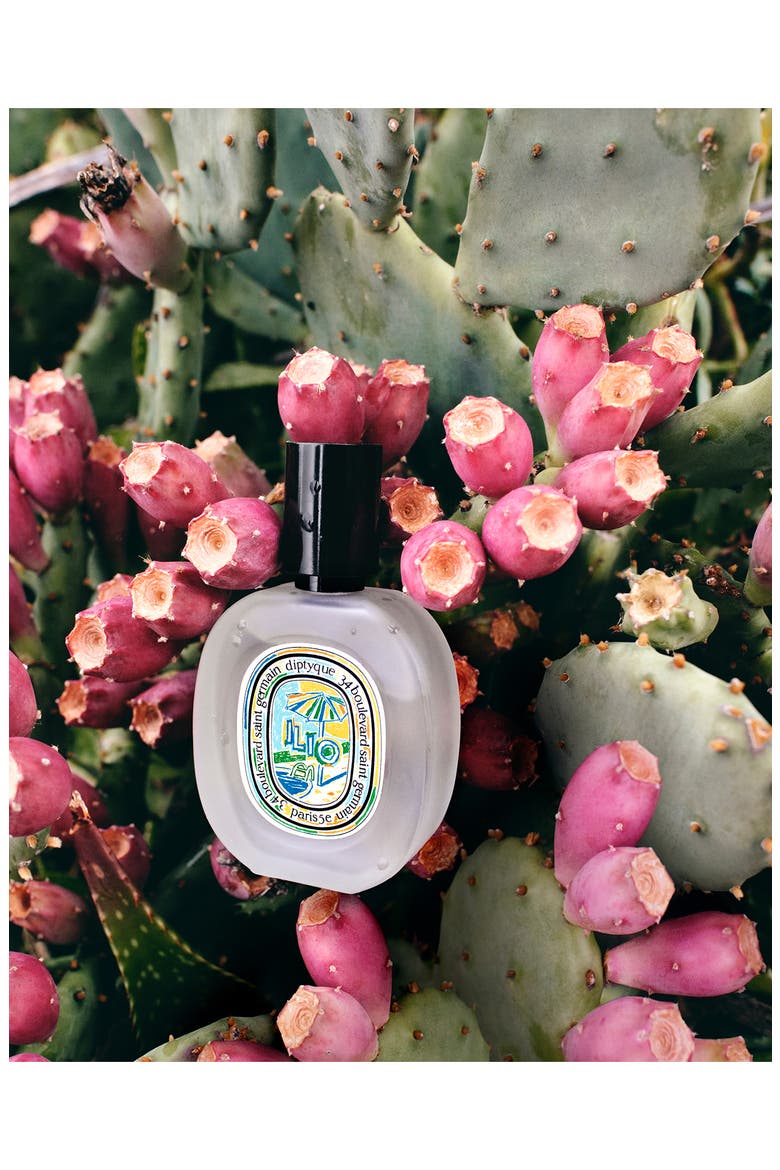 Diptyque Ilio Hair Mist (Women) | Nordstrom