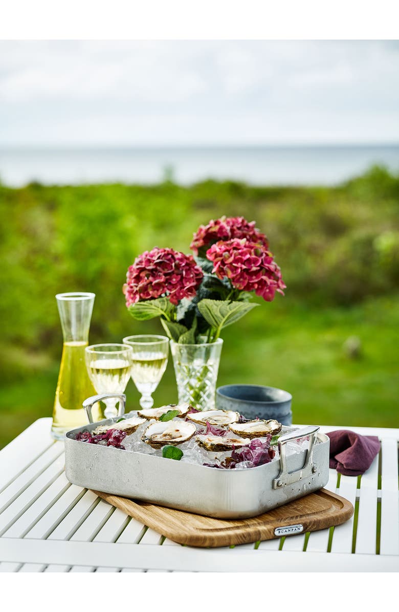 Scanpan Fusion 5 Roaster Pan, Alternate, color, Silver