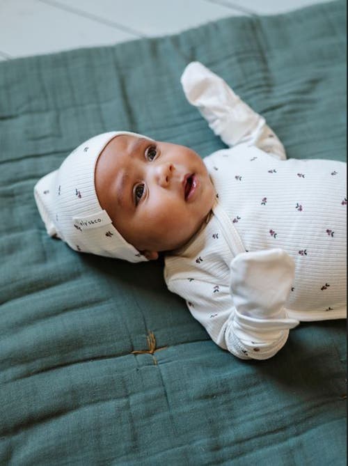 Ely's & Co. Baby Cotton Ribbed Beanie In Ivory/plum Berry
