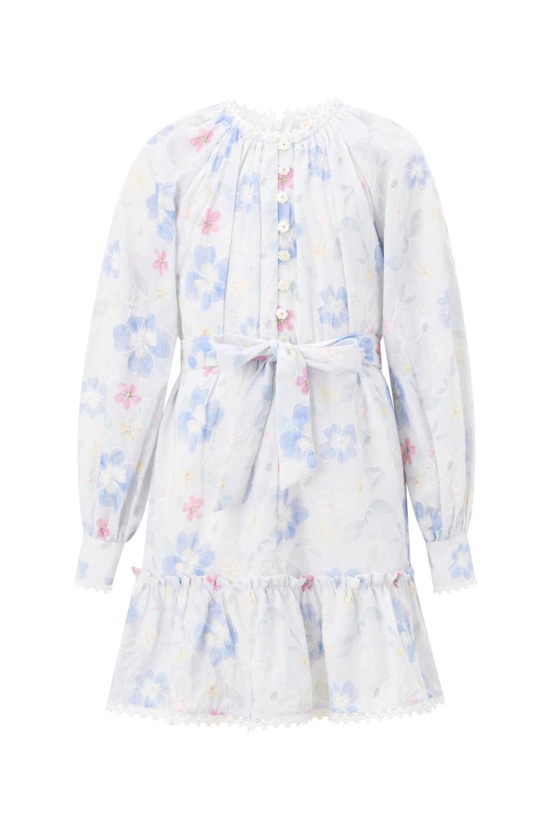 Deanna Sleeve Embroidered Mini Dress, Main, color, Multi