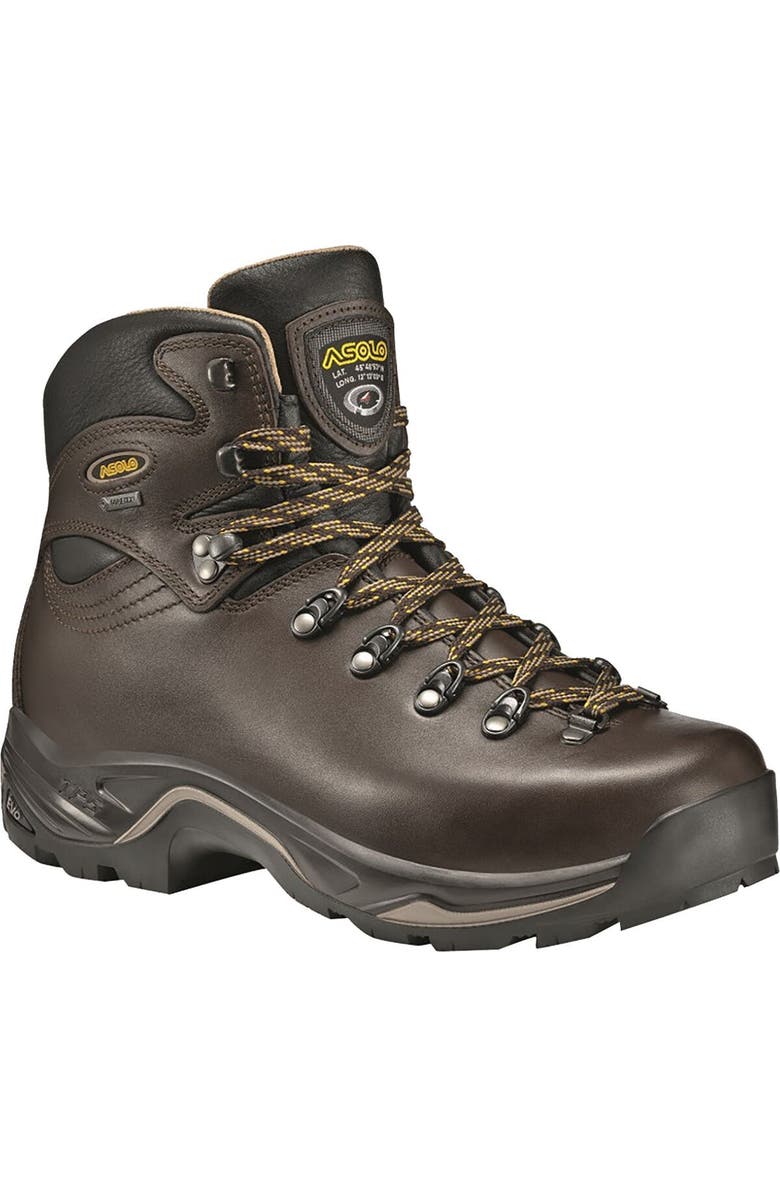 Asolo Tps 520 Gv Evo Backpacking Boot - Women's, Main, color, Chestnut