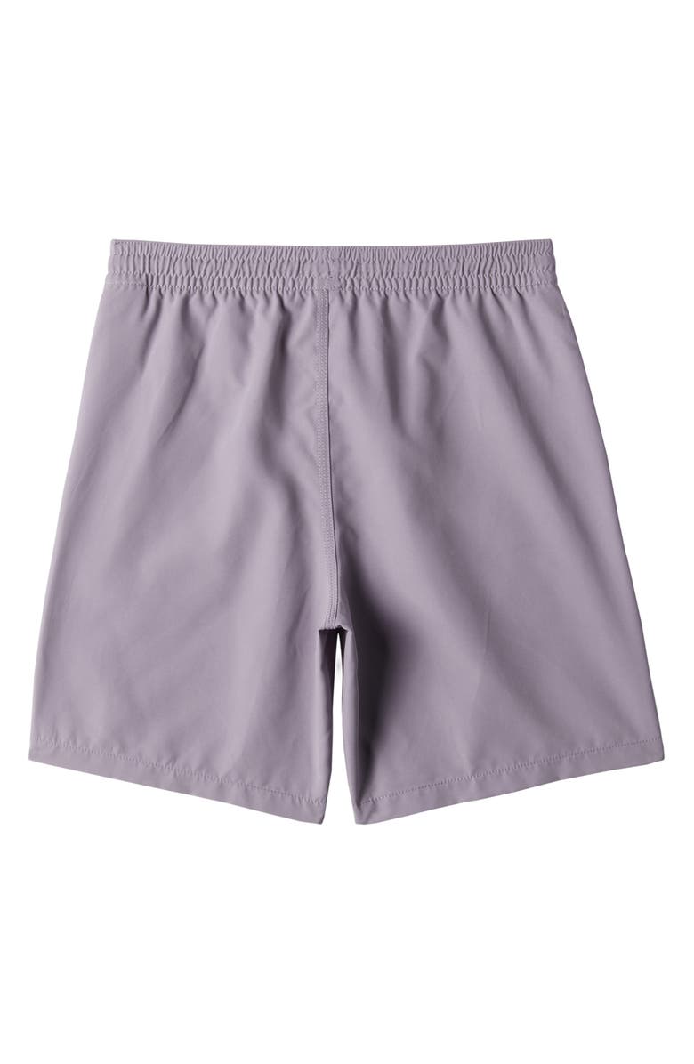 Billabong Kids' All Day Layback Swim Trunks, Alternate, color, 