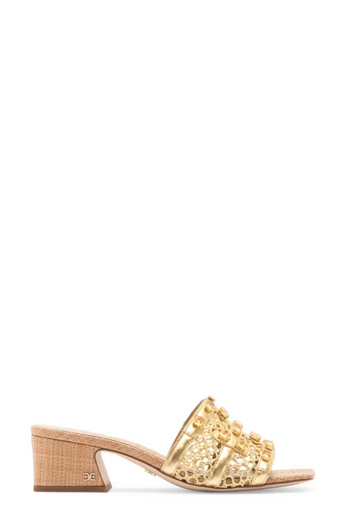 Shop Sam Edelman Webster Slide Sandal In Amber Gold Multi