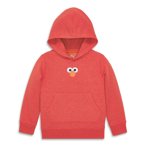 Kids Sesame Street Cozy Fleece Pullover Hoodie