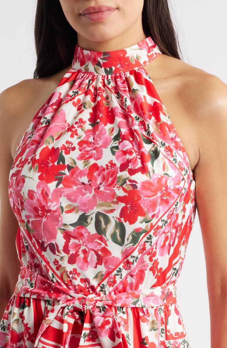 Anne Klein Tie Waist Sleeveless Maxi Dress, Alternate, color, Poppy Multi