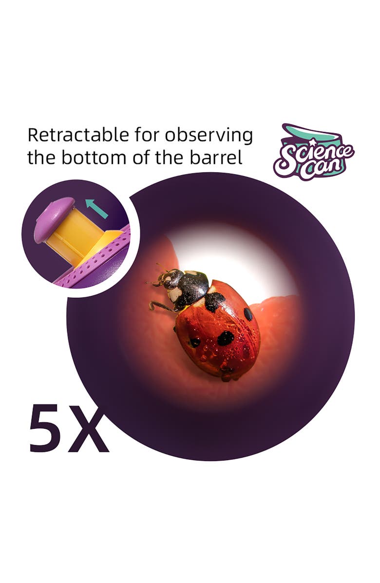 Science Can Insect & Fish Viewer Life Sciences Experiment Toy, Alternate, color, Multicolored