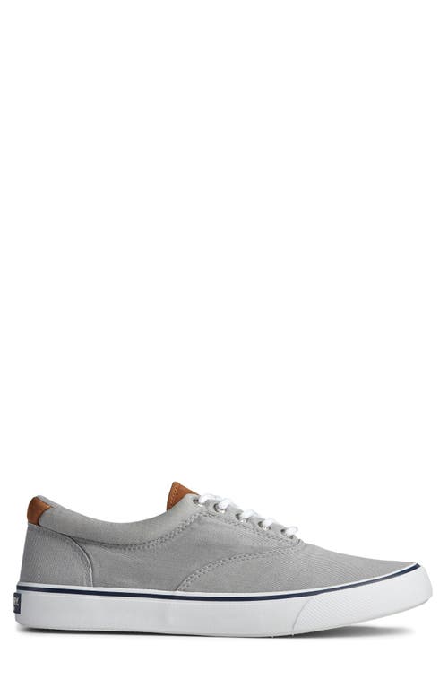 SPERRY SPERRY STRIPER II CVO CORE SNEAKER