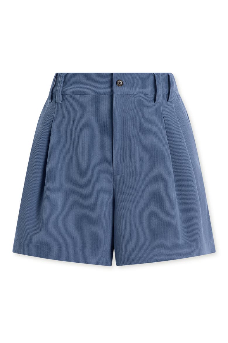 Jorden Pleated Corduroy Shorts, Alternate, color, BIJOU BLUE