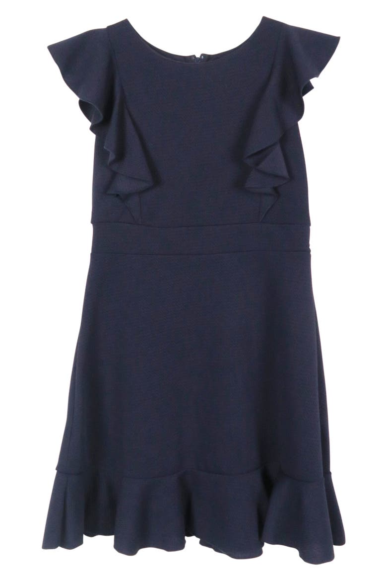 Kids' Ruffle Skater Dress, Main, color, NAVY