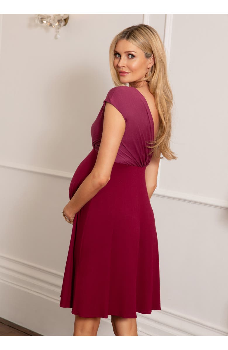 Tiffany Rose Maternity Alessandra Maternity Dress, Alternate, color, Rosey Red
