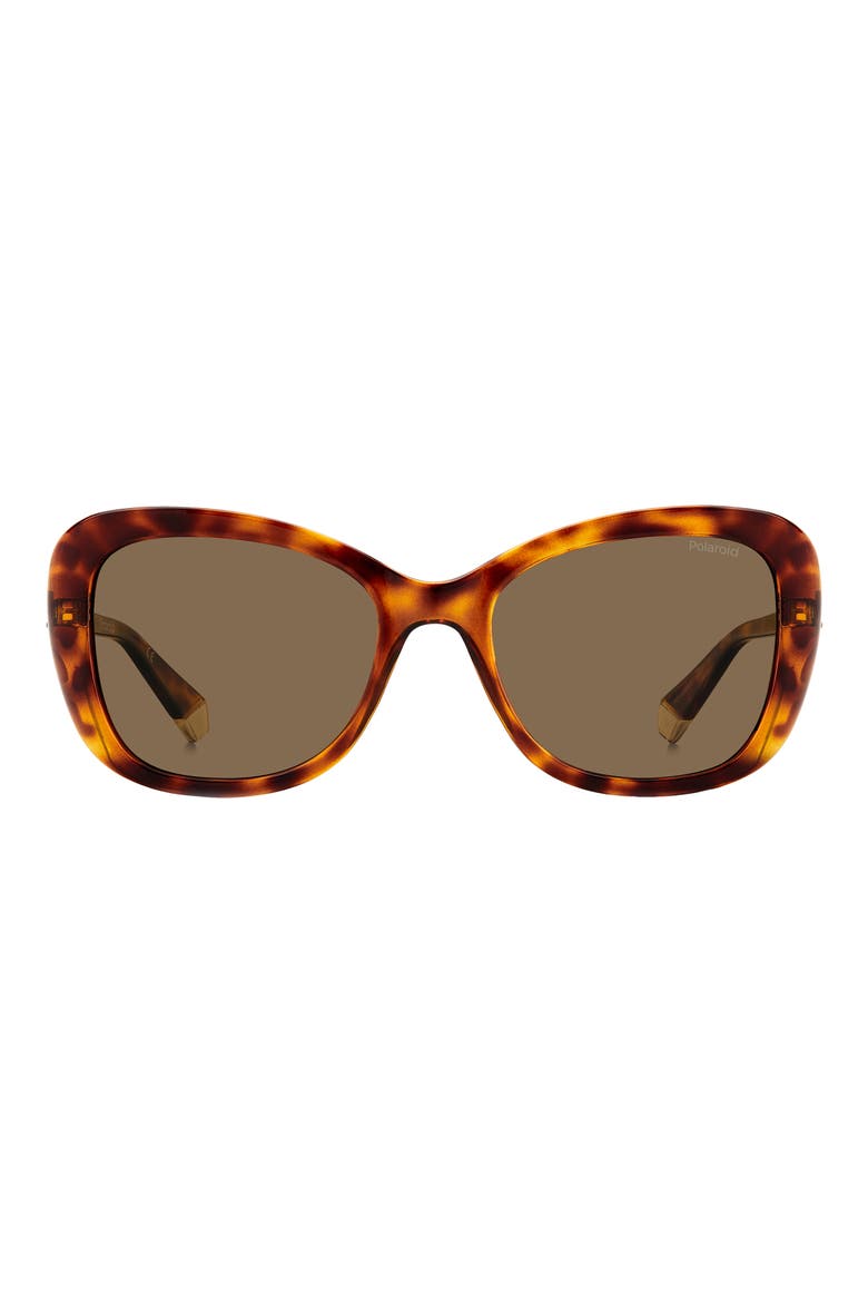 53mm Polarized Cat Eye Sunglasses, Main, color, HAVANA/ BRONZE POLAR