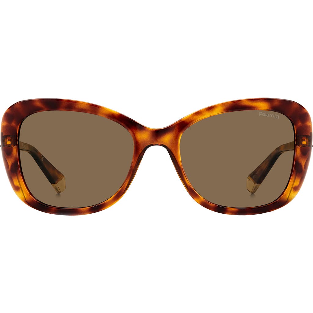 Polaroid 53mm Polarized Cat Eye Sunglasses in Havana/Bronze Polar  product