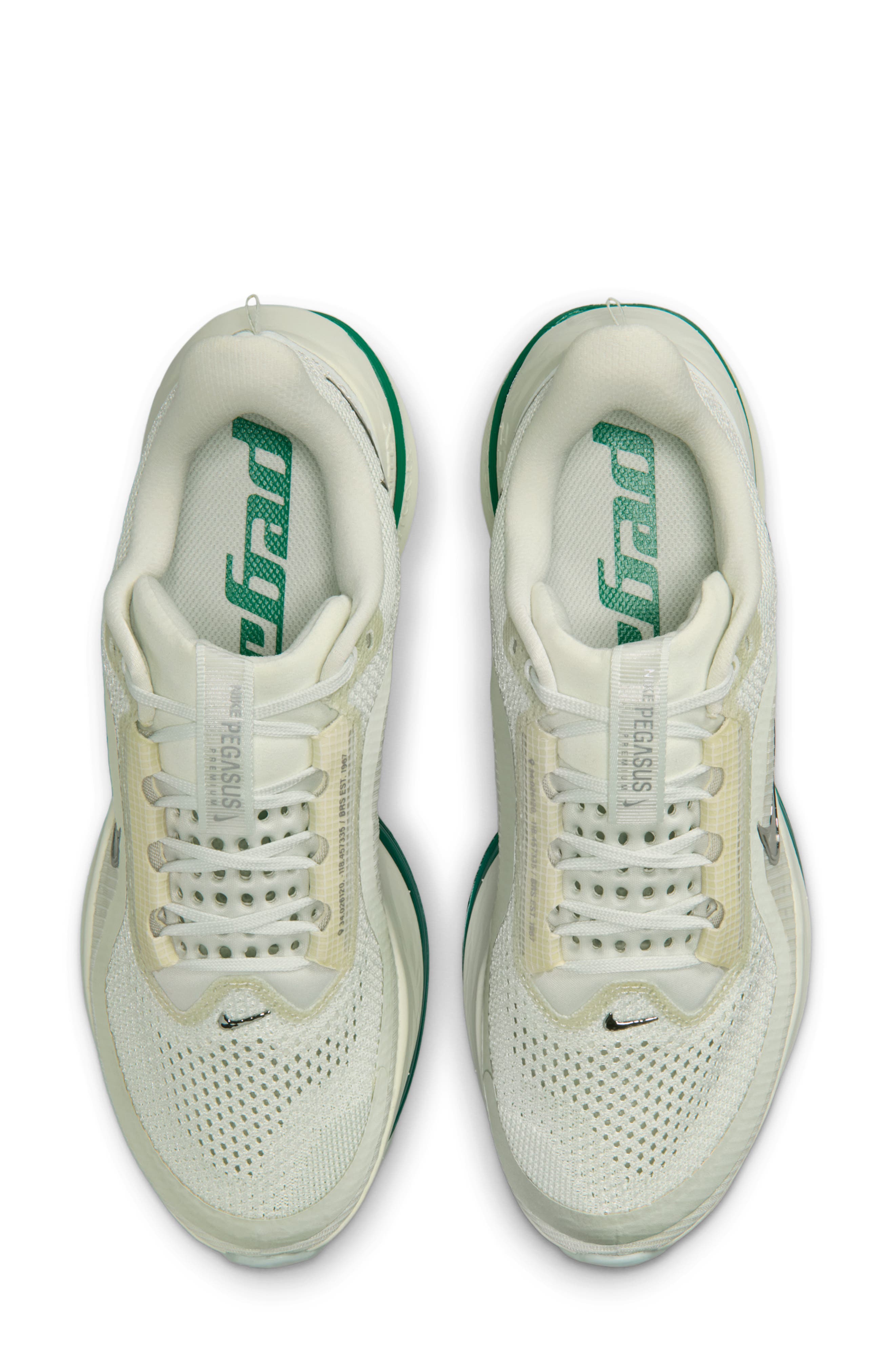 Pegasus Premium Running Shoe, Alternate, color, 008 SEAGLS/M SILV