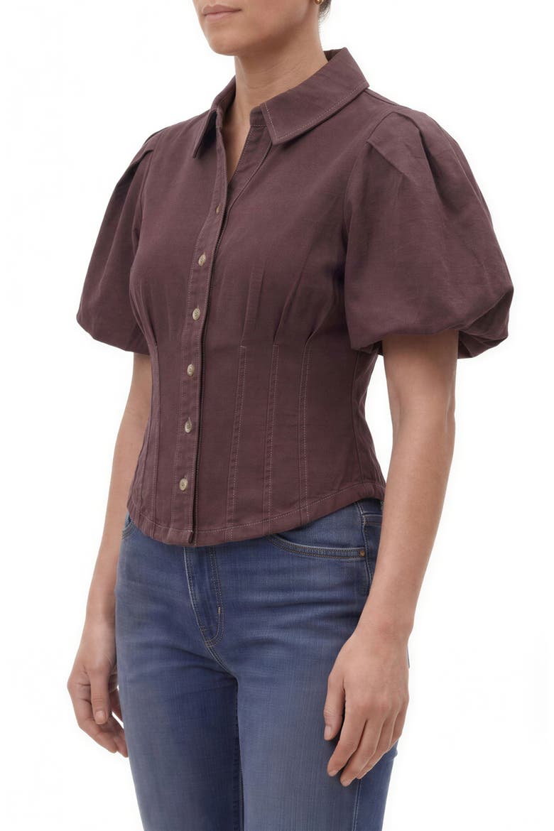 Corset Seam Puff Sleeve Shirt, Alternate, color, BITTER